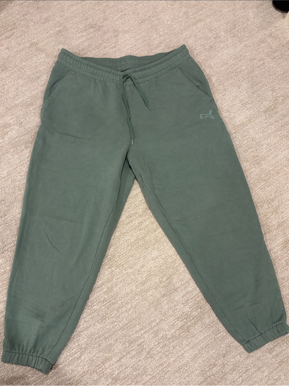 Puma Teen Olive Green Jogger Sweatpants